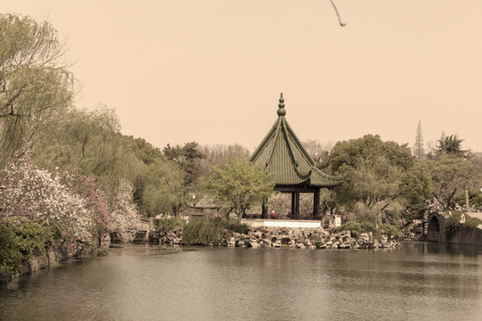 桃花盛開(kāi)
