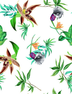 熱帶花