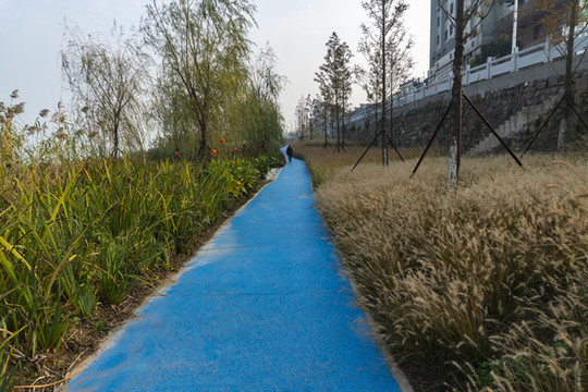 公園小道