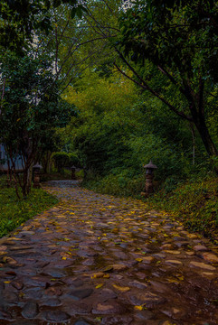 香積寺后花園