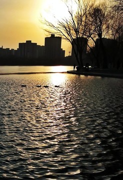 公園湖泊