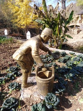 澆水