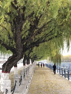 河岸步道