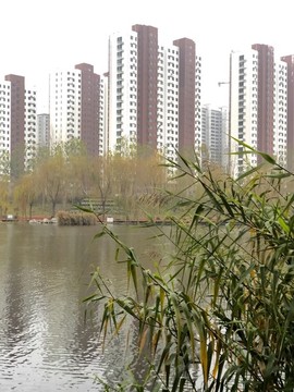 住宅建筑園林