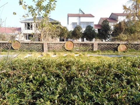簸箕