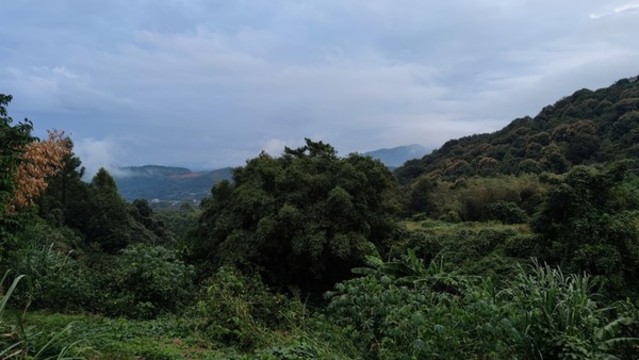 山坳
