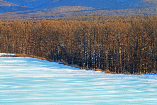 大興安嶺林海雪原