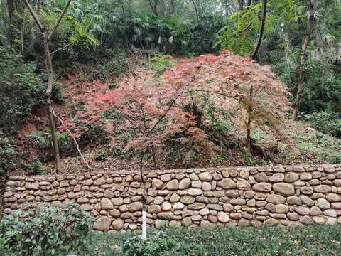 山體護(hù)坡