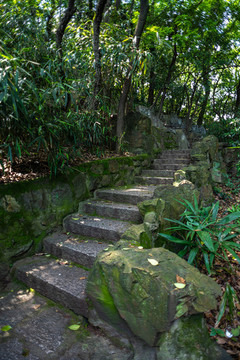 上海長(zhǎng)風(fēng)公園