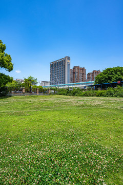 上海大寧靈石郁金香公園