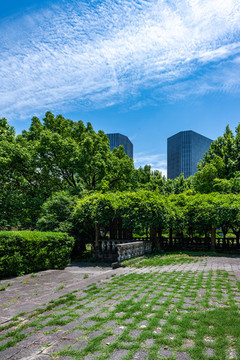上海大寧靈石郁金香公園