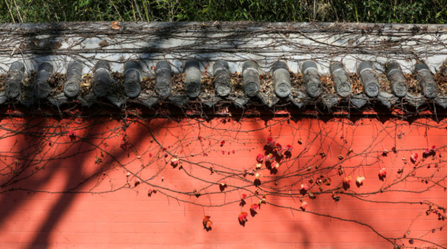 紅墻