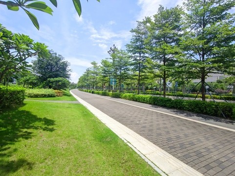 城市綠道