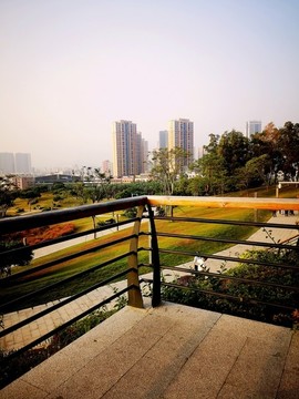 公明紅花山公園清晨