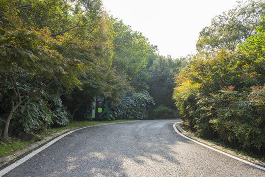 南京方山公園森林公路