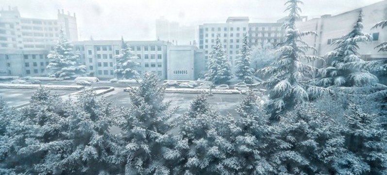 初雪