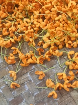 桂花
