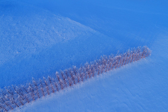航拍雪域田園
