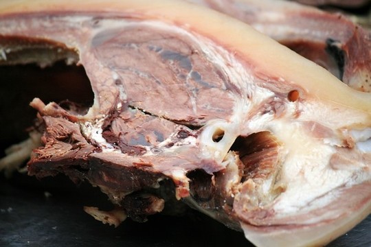 牦牛肉