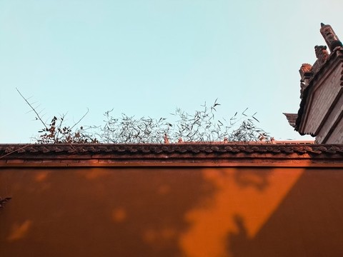 紅墻古建