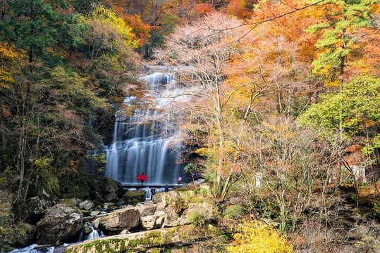 紅葉瀑布