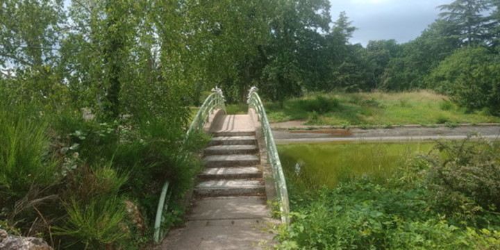 橋1