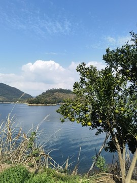 千島湖
