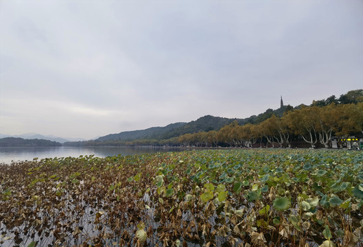 西湖