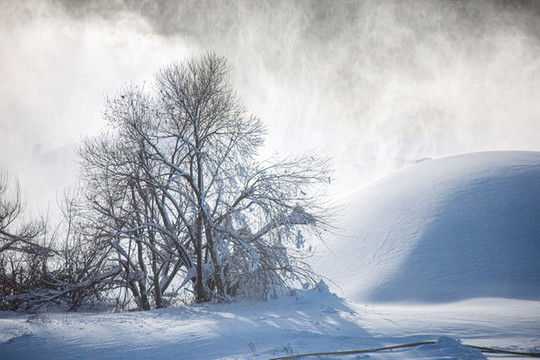 雪景
