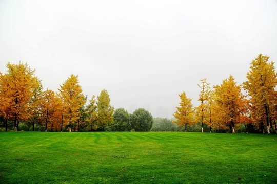 重慶中央公園