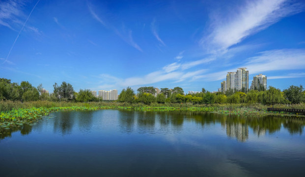 水景園林全景大圖