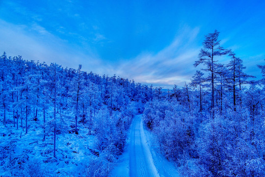 大興安嶺森林冰雪山路