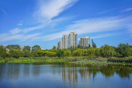 園林水景高清大圖
