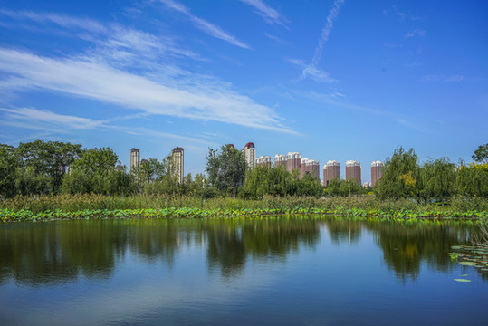 園林水景高清大圖