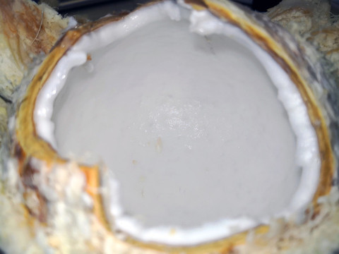 椰子內(nèi)部