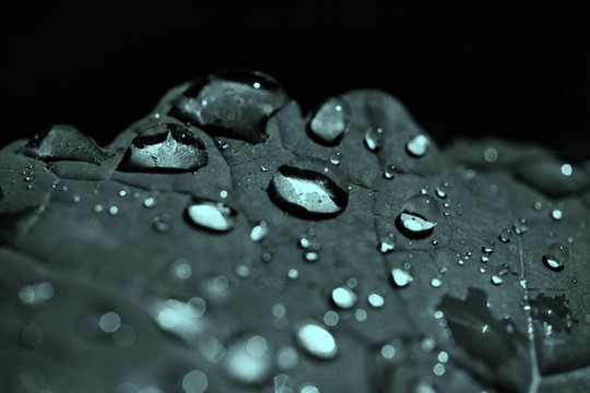 水珠