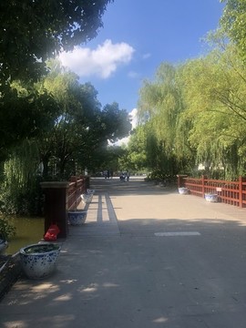 道路橋面