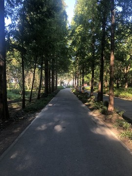 小徑曲徑