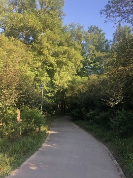 林蔭道