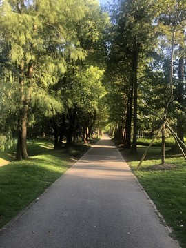 林蔭路