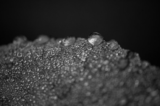 水珠