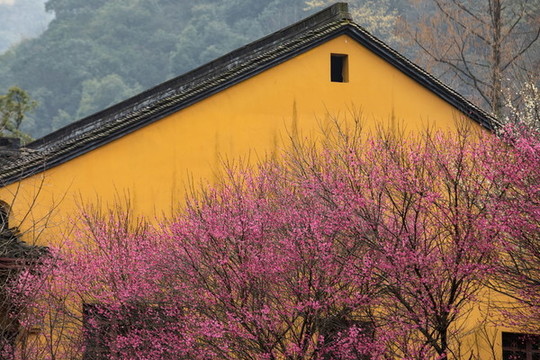 杭州法喜寺