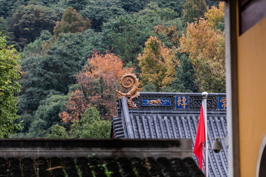 杭州法凈寺