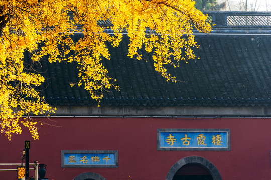 棲霞寺