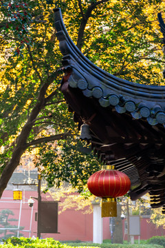 棲霞寺