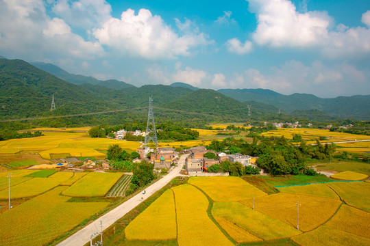 田園秋色