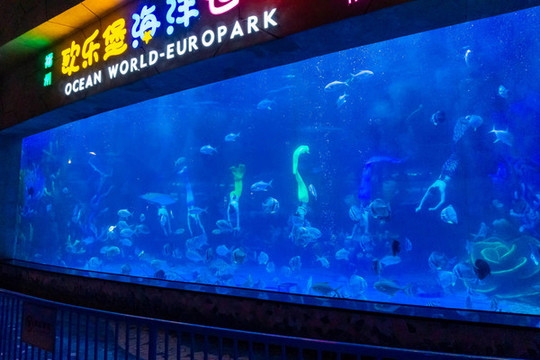 海洋館美人魚表演