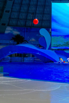 海洋公園表演館