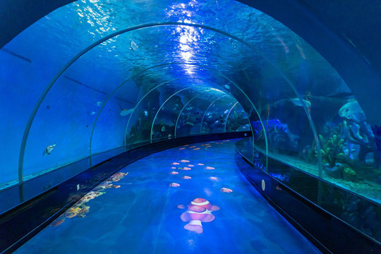 海洋世界海底隧道