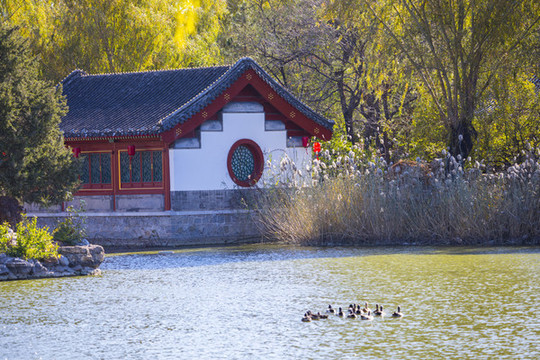 秋景